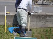 土壌調査
