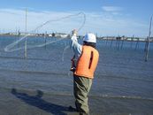 魚類調査（投網）